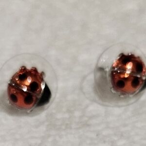 Ladybug Dome Stud Earrings - Red and Black